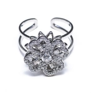 anello rotante 1